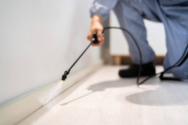 Licensed Cockroach Control service in Elwood, KS - Nex Pest Control