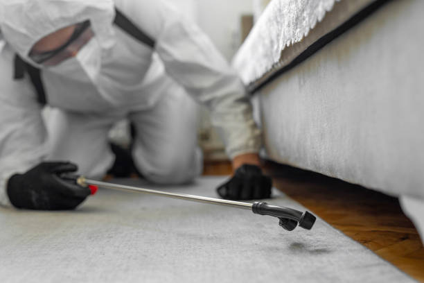 Professional Cockroach Control technician working in Elwood, KS