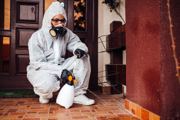 Reliable Cockroach Control contractor in Elwood, KS by Nex Pest Control